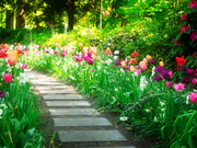 Design your garden for spring