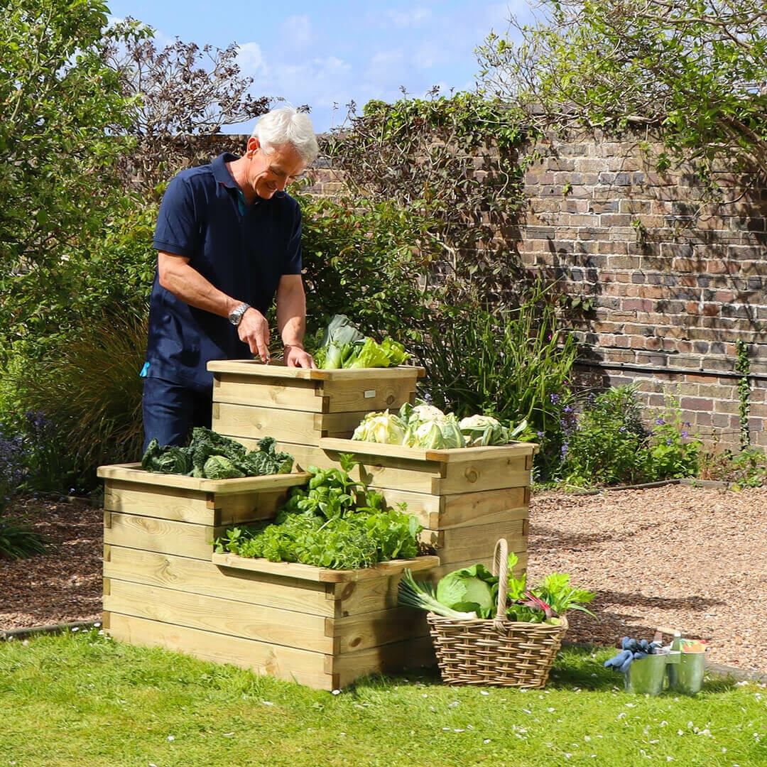 4 TIER RAISED BED - Thirsk Garden Centre