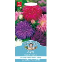 UK/FO-ASTER Ostrich Feather - image 1