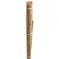Bamboo Cane 4ft Pack Of 20