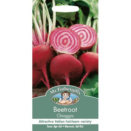 UK/FO-BEETROOT Chioggia - image 1