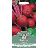 UK/FO-BEETROOT Perfect 3 - image 1