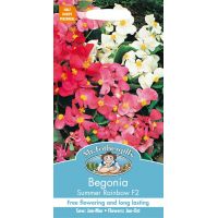 UK/FO-BEGONIA Summer Rainbow F2 - image 1