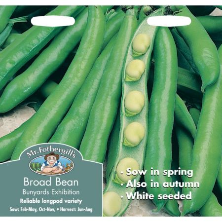 UK/FO-BROAD BEAN Bunyards Exhibition - image 1