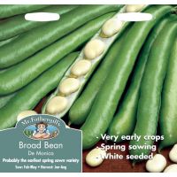 UK/FO-BROAD BEAN De Monica - image 1