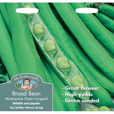 UK/FO-BROAD BEAN Masterpiece Green Longpod - image 1