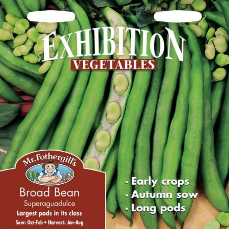 UK/FO-BROAD BEAN Superaguadulce - image 1