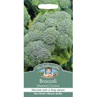 UK/FO-BROCCOLI (Autumn)  Covina - image 1