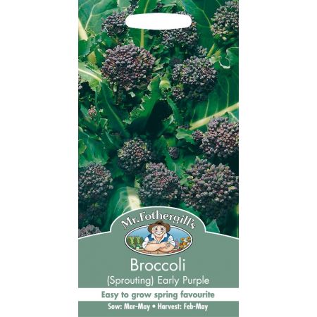 UK/FO-BROCCOLI (Sprouting) Early Purple - image 1