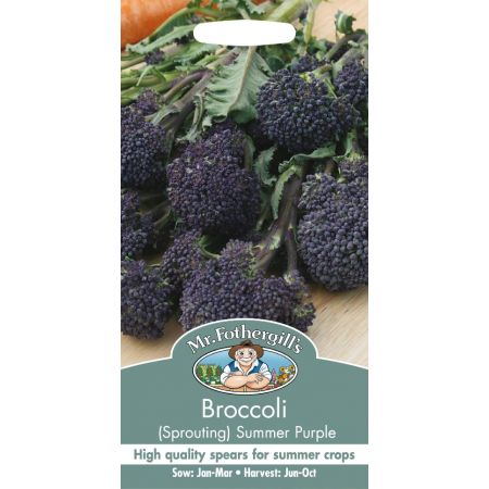 UK/FO-BROCCOLI (Sprouting) Summer Purple - image 1