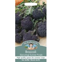 UK/FO-BROCCOLI (Sprouting) Summer Purple - image 1