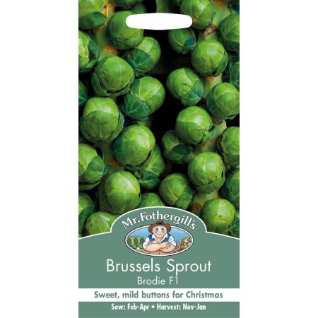 UK/FO-BRUSSELS SPROUT Brodie F1 - image 1