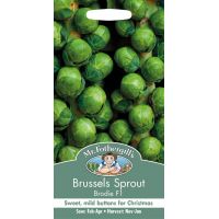 UK/FO-BRUSSELS SPROUT Brodie F1 - image 1