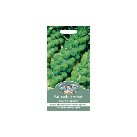 UK/FO-BRUSSELS SPROUT Evesham Special - image 1