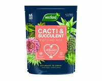 CACTI & SUCCULENT COMPOST P/F 4LT WESTLAND