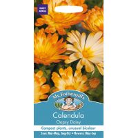 UK/FO-CALENDULA Oopsy Daisy - image 1