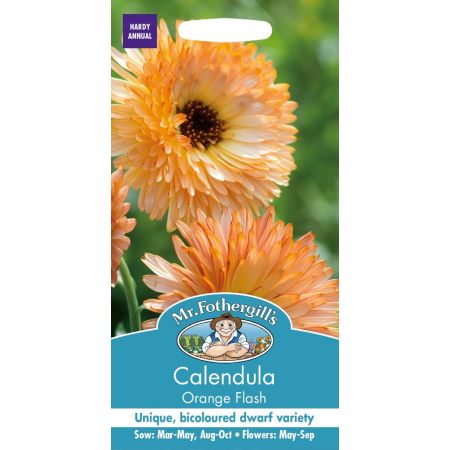 UK/FO-CALENDULA Orange Flash - image 1