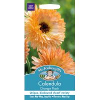 UK/FO-CALENDULA Orange Flash - image 1