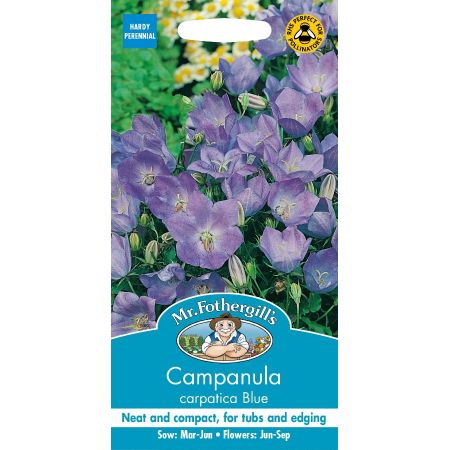 UK/FO-CAMPANULA carpatica Blue - image 1