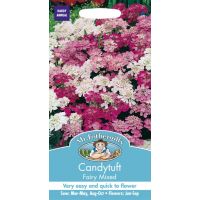 UK/FO-CANDYTUFT Fairy Mixed - image 1