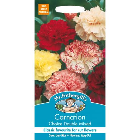 UK/FO-CARNATION Choice Double Mixed - image 1