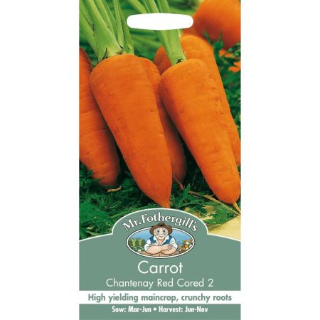 UK/FO-CARROT Chantenay Red Cored 2 - image 1