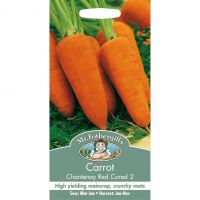 UK/FO-CARROT Chantenay Red Cored 2 - image 1