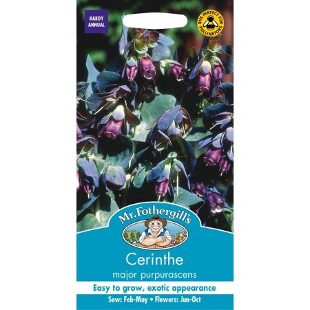 UK/FO-CERINTHE major purpurascens - image 1