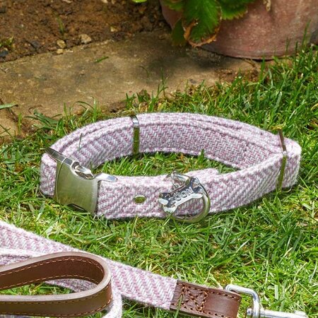 Country - Blush - xS- Walkabout Dog Collar (20cm-33cm)