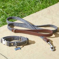 Country - Slate M Walkabout Dog Lead (120cm x 2cm) - image 2