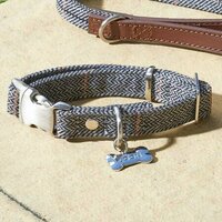 Country - Slate - M - Walkabout Dog Collar (31cm-47cm)