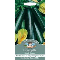 UK/FO-COURGETTE Black Beauty - image 2