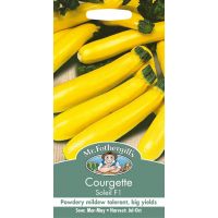 UK/FO-COURGETTE Soleil F1 - image 1