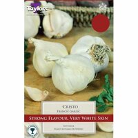 GARLIC CRISTO 45-55 P/P