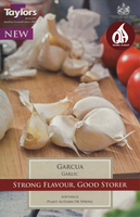 GARLIC GARCUA  50-60 P/P