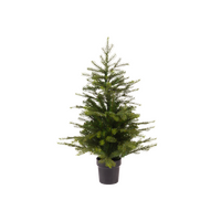 GRANDIS FIR XMAS TREE 90cm