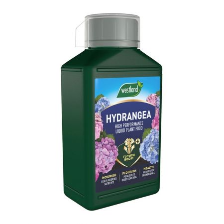 Hydrangea Liquid Feed 1Lt Westland
