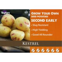 KESTREL POTATOES LOOSE PER KG