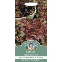 UK/FO-LETTUCE Salad Bowl Red - image 1