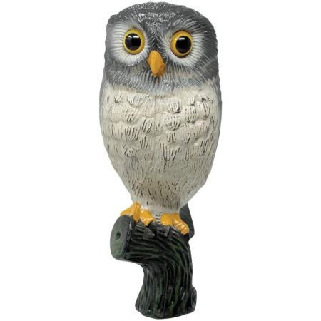 Little Owl - image 1