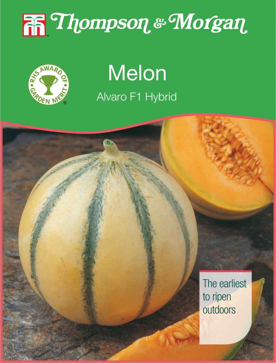 Melon Alvaro F1 Hybrid - Thirsk Garden Centre