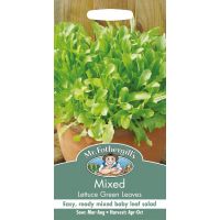 UK/FO-MIXED Lettuce Green Leaves - image 1