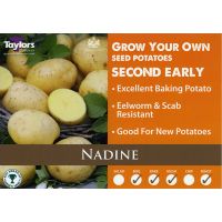 NADINE POTATOES LOOSE PER KG