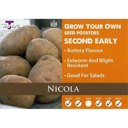 NICOLA POTATOES LOOSE PER KG