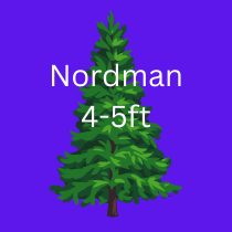 NORDMAN TREE 4-5ft / 120-150cm