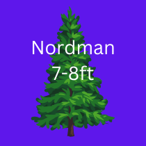 NORDMAN TREE 7-8ft 210-240cm