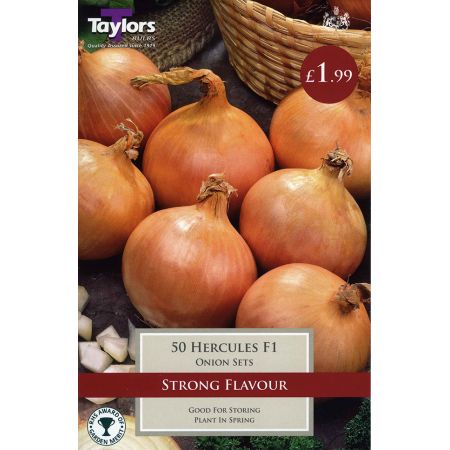 ONION HERCULES F1 14-21 P/P