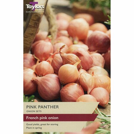 ONION PINK PANTHER 14-21 P/P