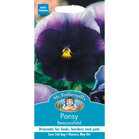 UK/FO-PANSY Beaconsfield - image 1