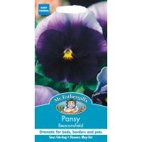 UK/FO-PANSY Beaconsfield - image 1